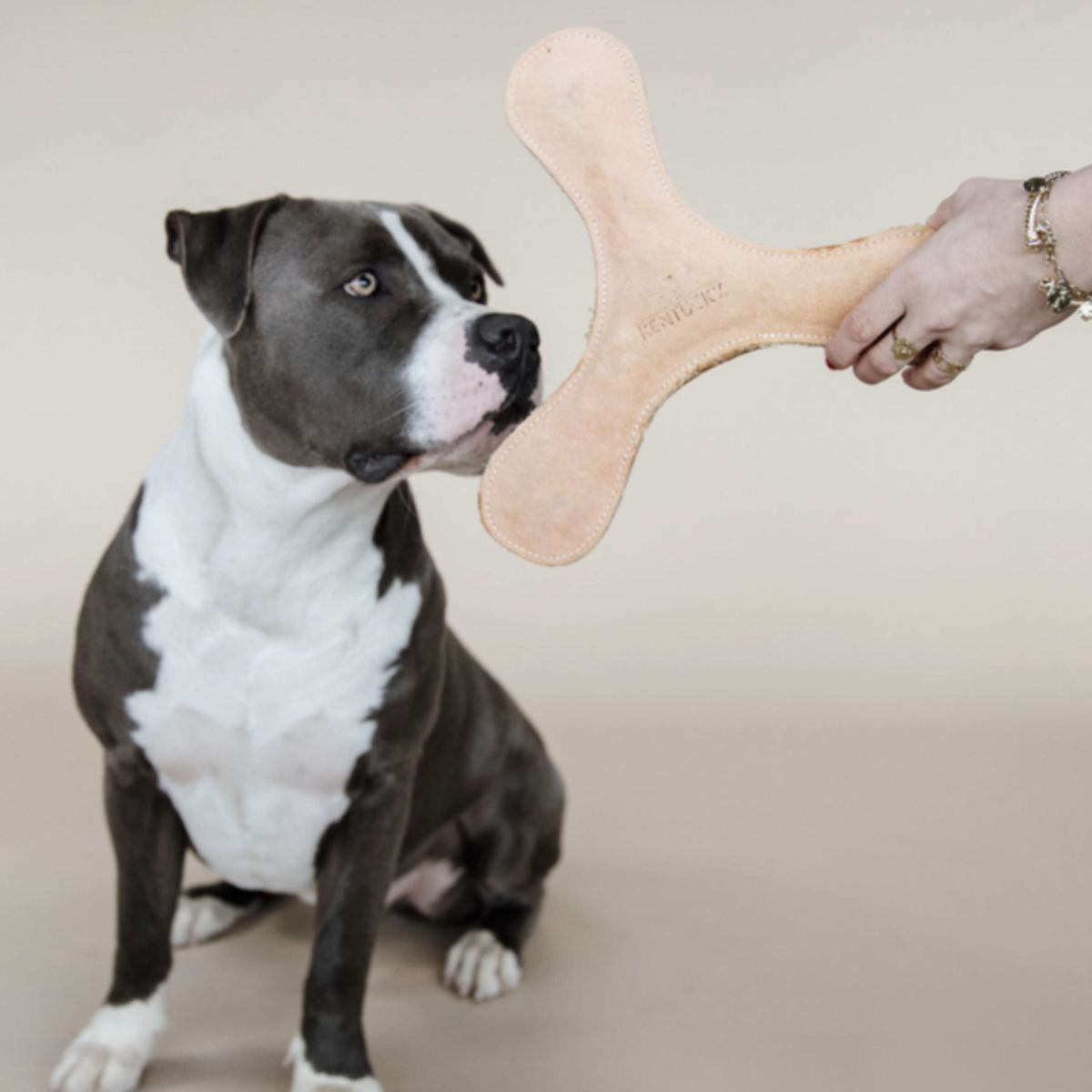 Kentucky Jeu pour Chien Boomerang Pastel Pêche