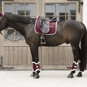 Kentucky Horsewear Guêtres Bordeaux