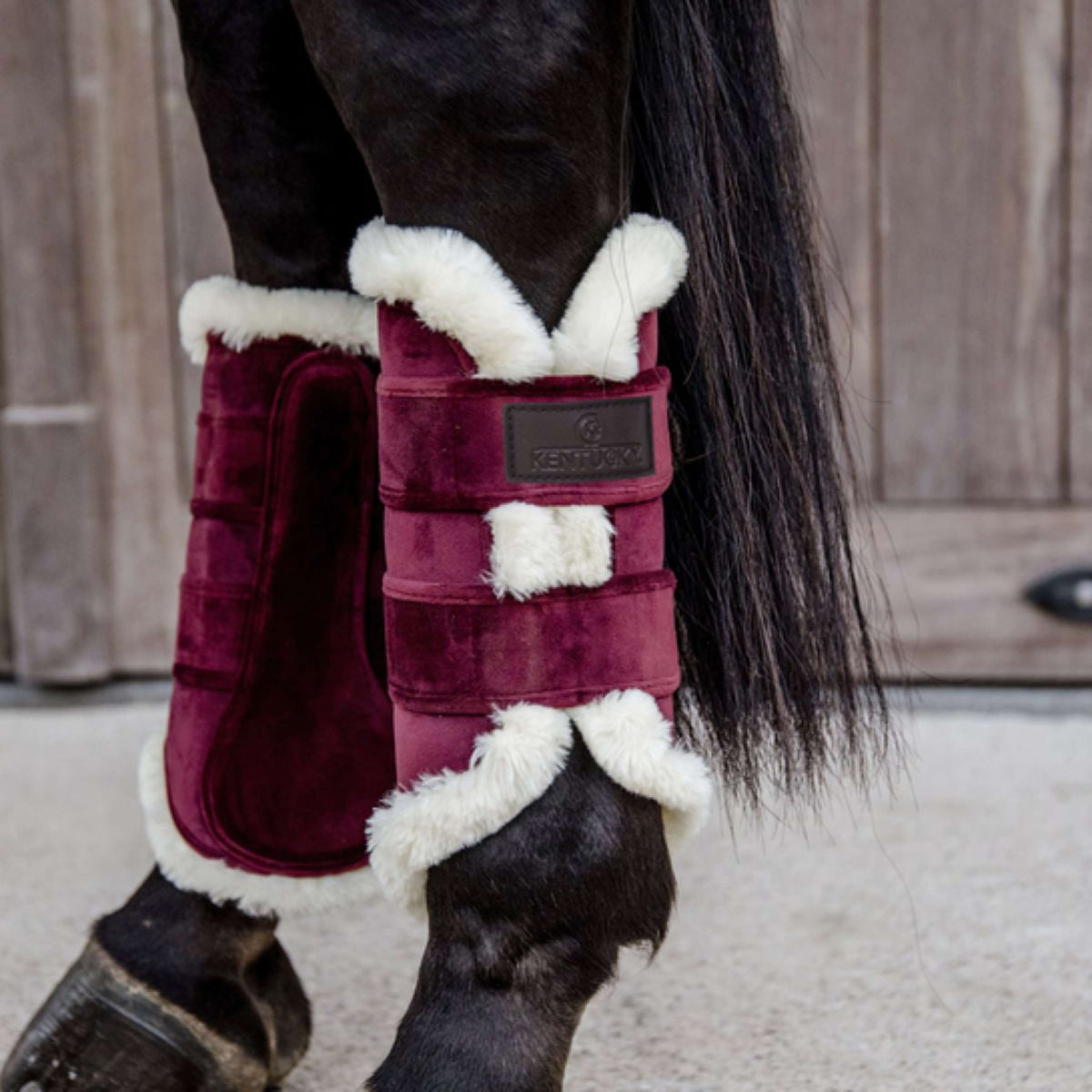 Kentucky Horsewear Guêtres Bordeaux