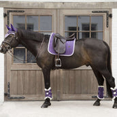 Kentucky Horsewear Guêtres Violet Royal