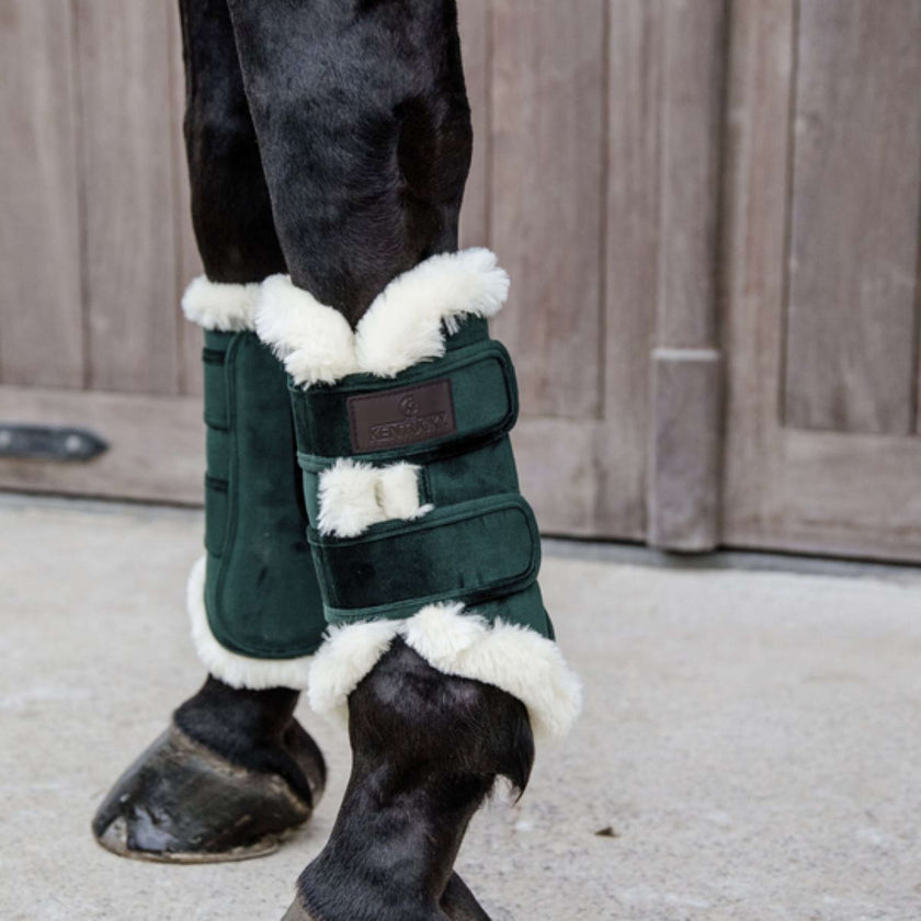 Kentucky Horsewear Guêtres Pine Green