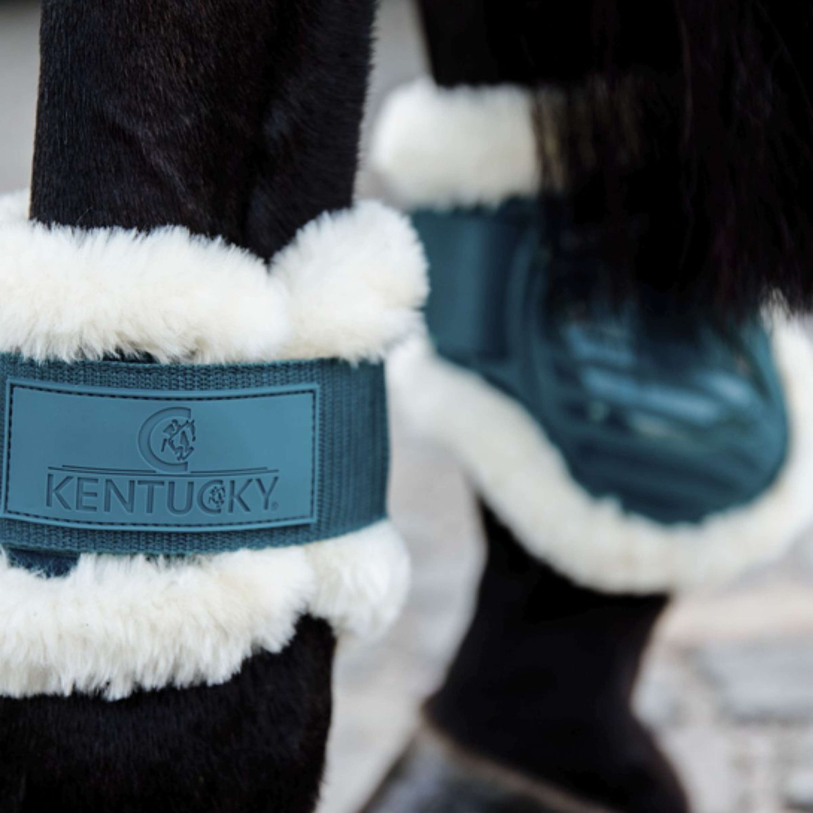 Kentucky Protège-Boulets Young Horse Vegan Sheepskin Émeraude