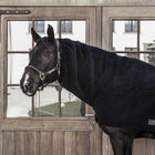 Kentucky Cou Heavy Fleece Noir