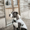Kentucky Veste pour Chien Waterproof 160g Dusty Blue