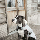 Kentucky Veste pour Chien Waterproof 160g Dusty Blue