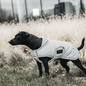 Kentucky Veste pour Chien Reflective & Water Repellent Belly Cover 150g Argent