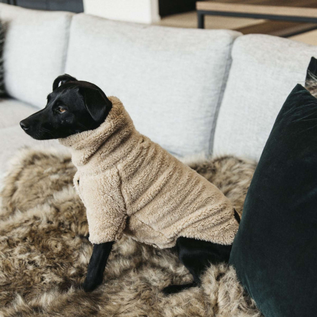 Kentucky Pull Chien Teddy Fleece Beige