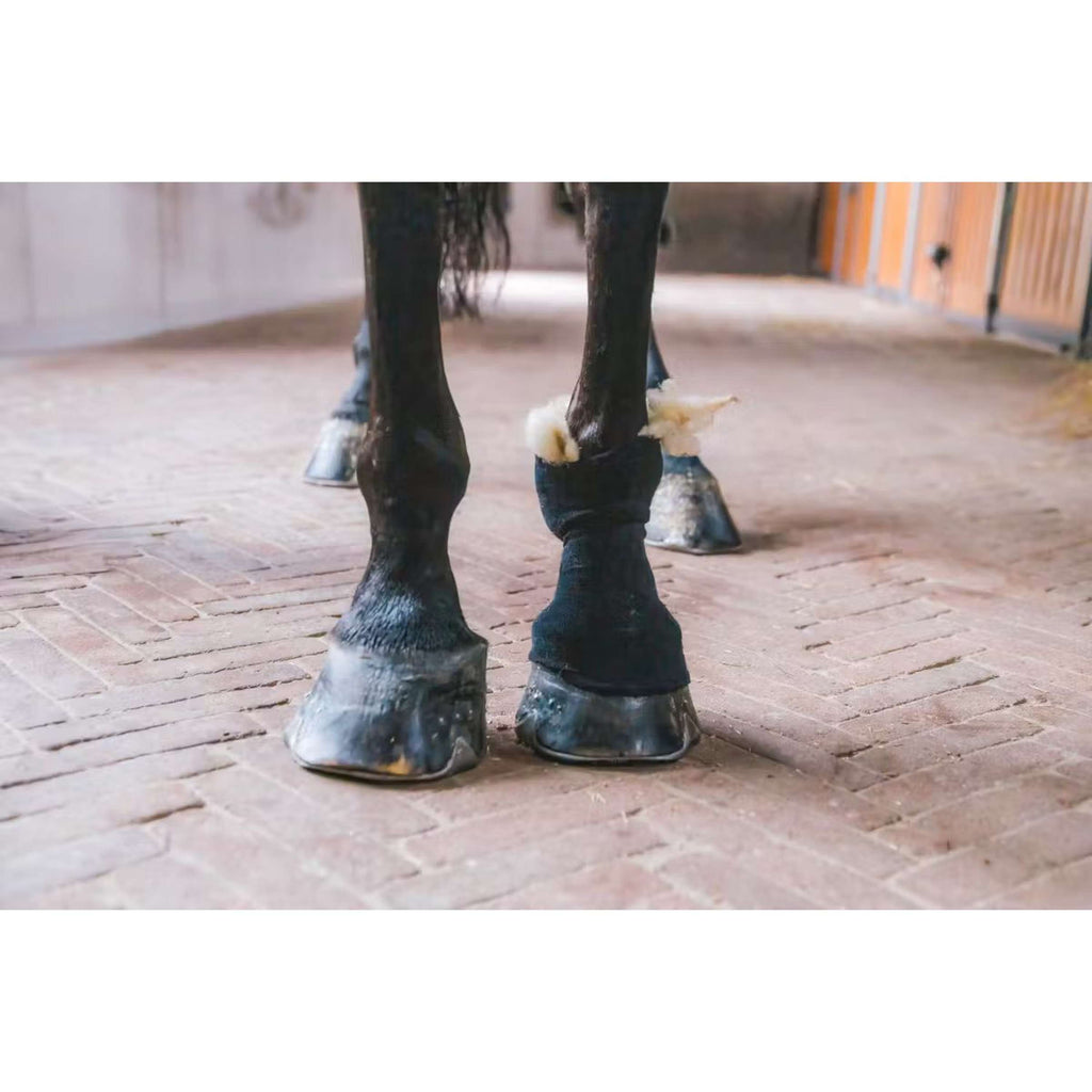 Kentucky Horsewear Laine thérapeutique Blanc