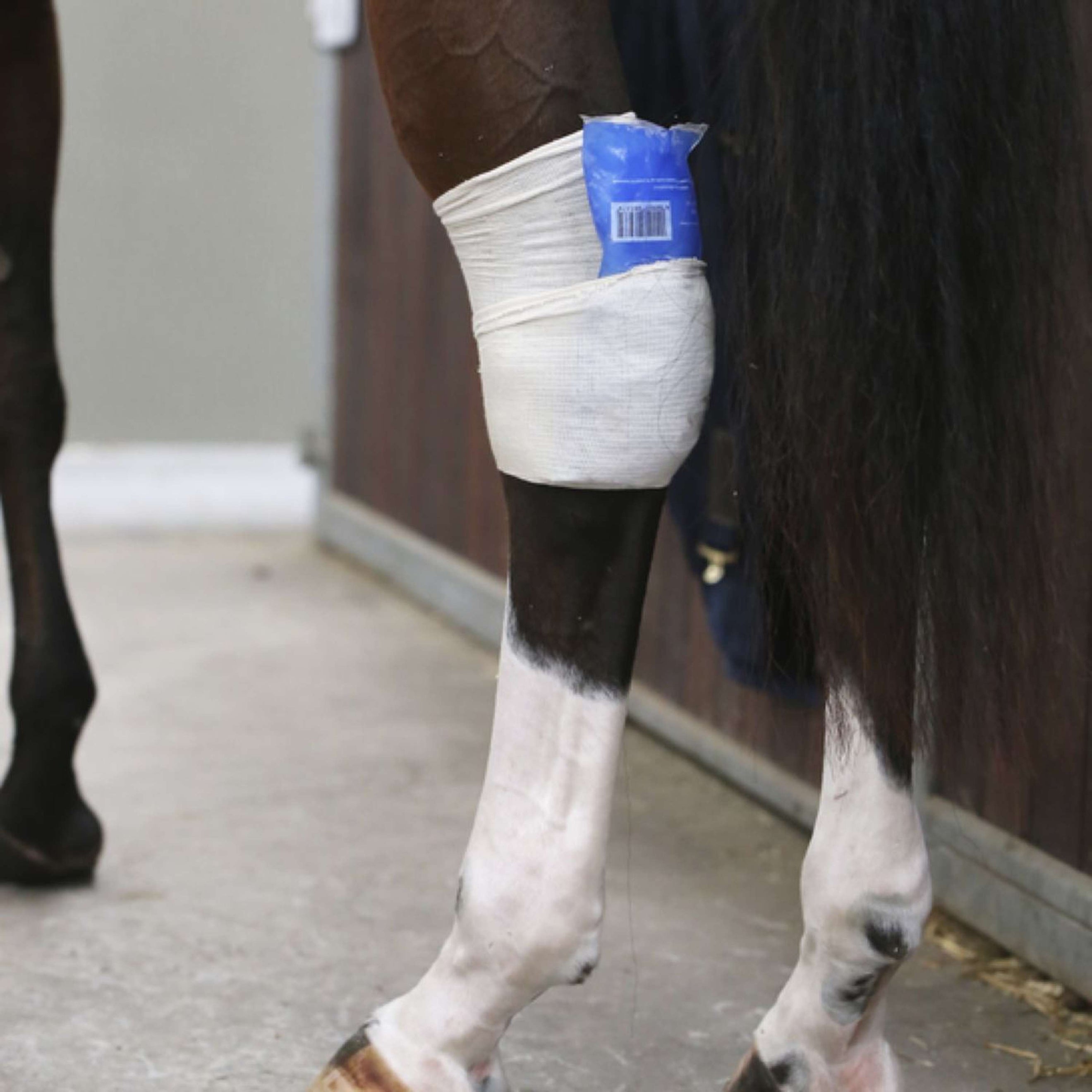 Kentucky Tendon Grip Beige Kentucky Tendon Grip Beige