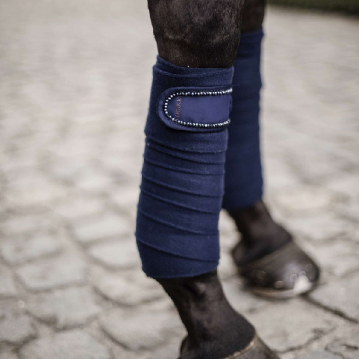 Kentucky Bandages Polaire Perles Bleu