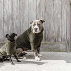Kentucky Pull Chien Teddy Fleece Pine Green