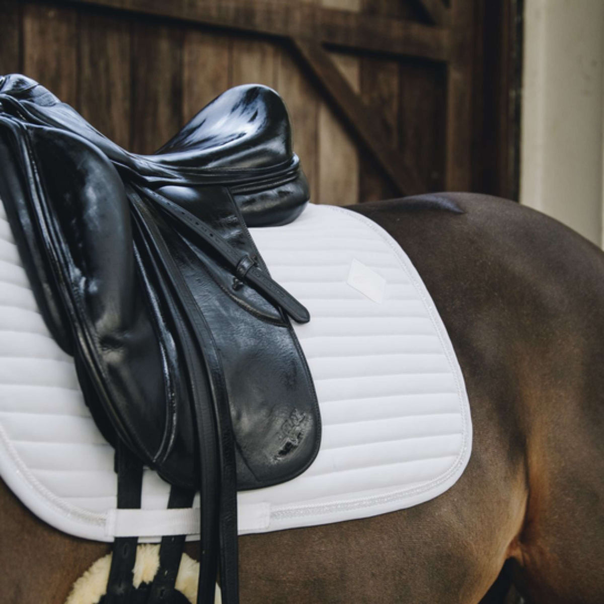 Kentucky Tapis de Selle de Dressage Pearls Blanc