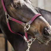 Kentucky Licol Plaited Nylon Bordeaux