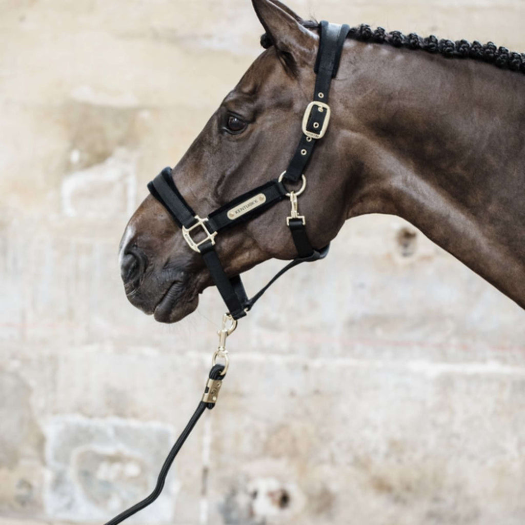Kentucky Corde pour Licol Basic Noir