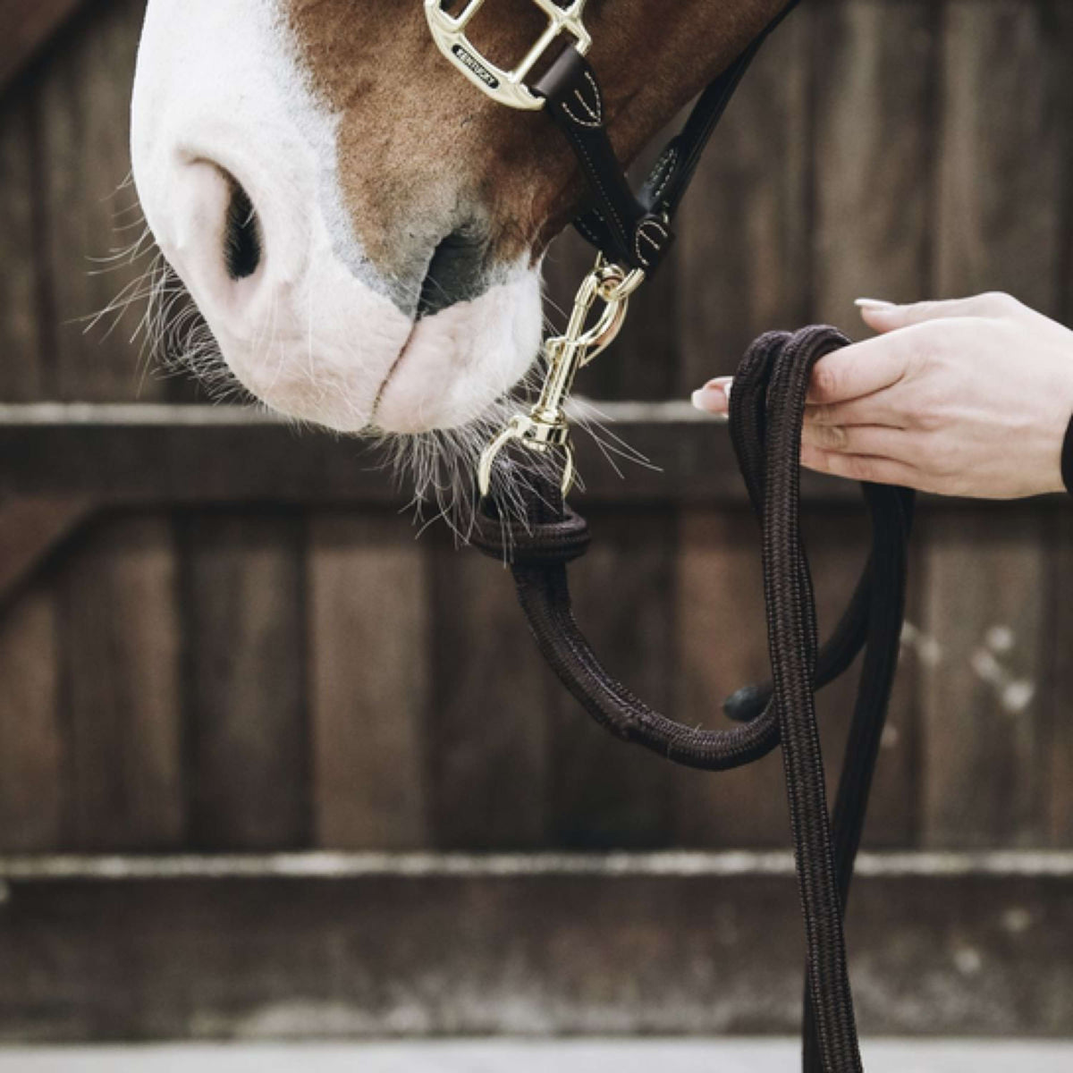 Kentucky Corde pour Licol Loop Marron