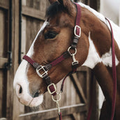 Kentucky Licol Plaited Nylon Bordeaux