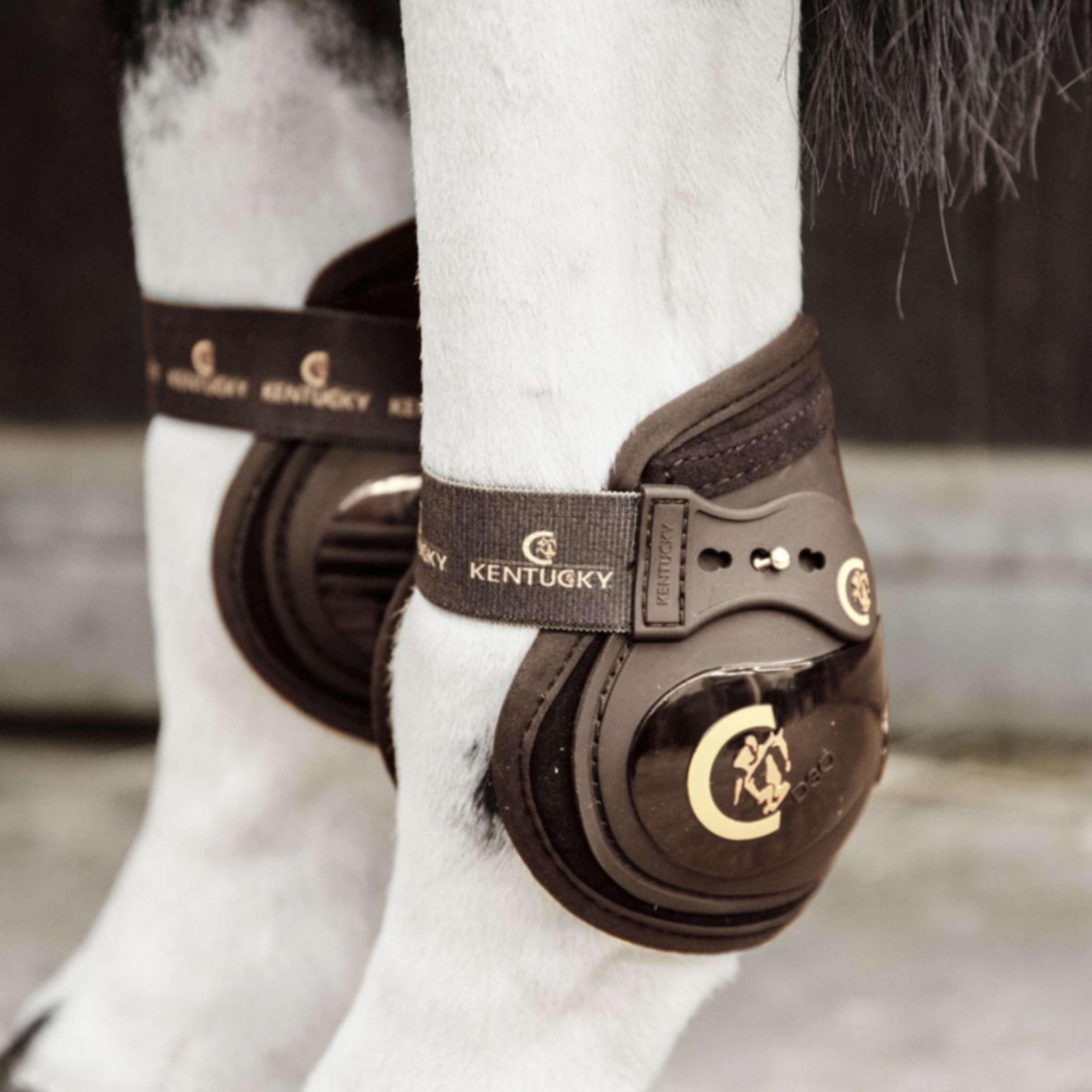 Kentucky Horsewear Protège-Boulets Moonboots Elastic Marron