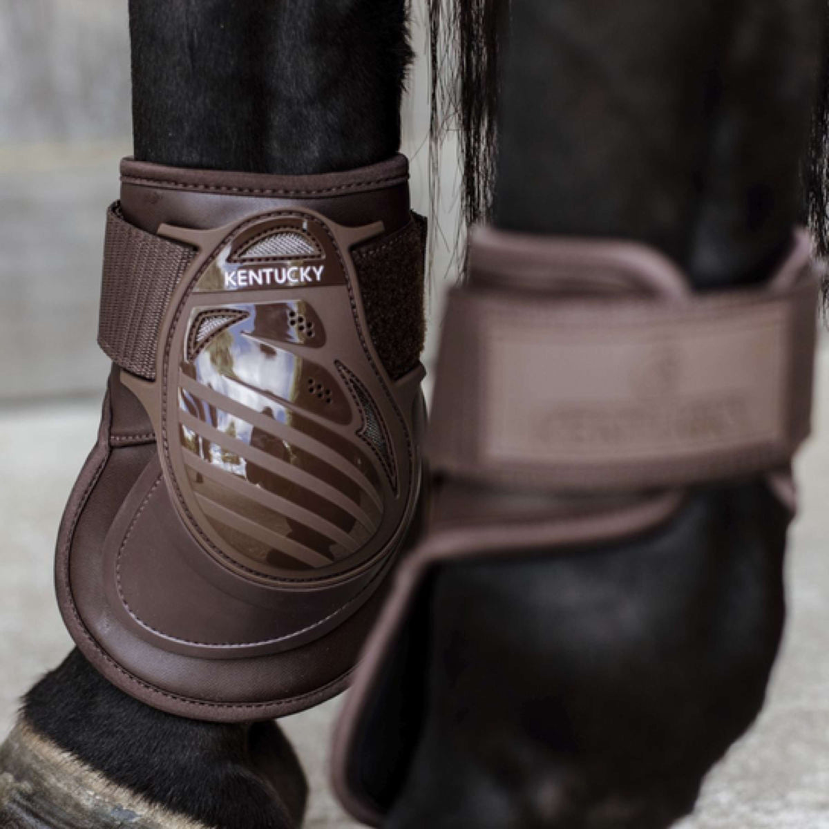 Kentucky Horsewear Protège-Boulets Deep Marron