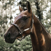 Kentucky Têtière pour Licol Leather Flexible Marron