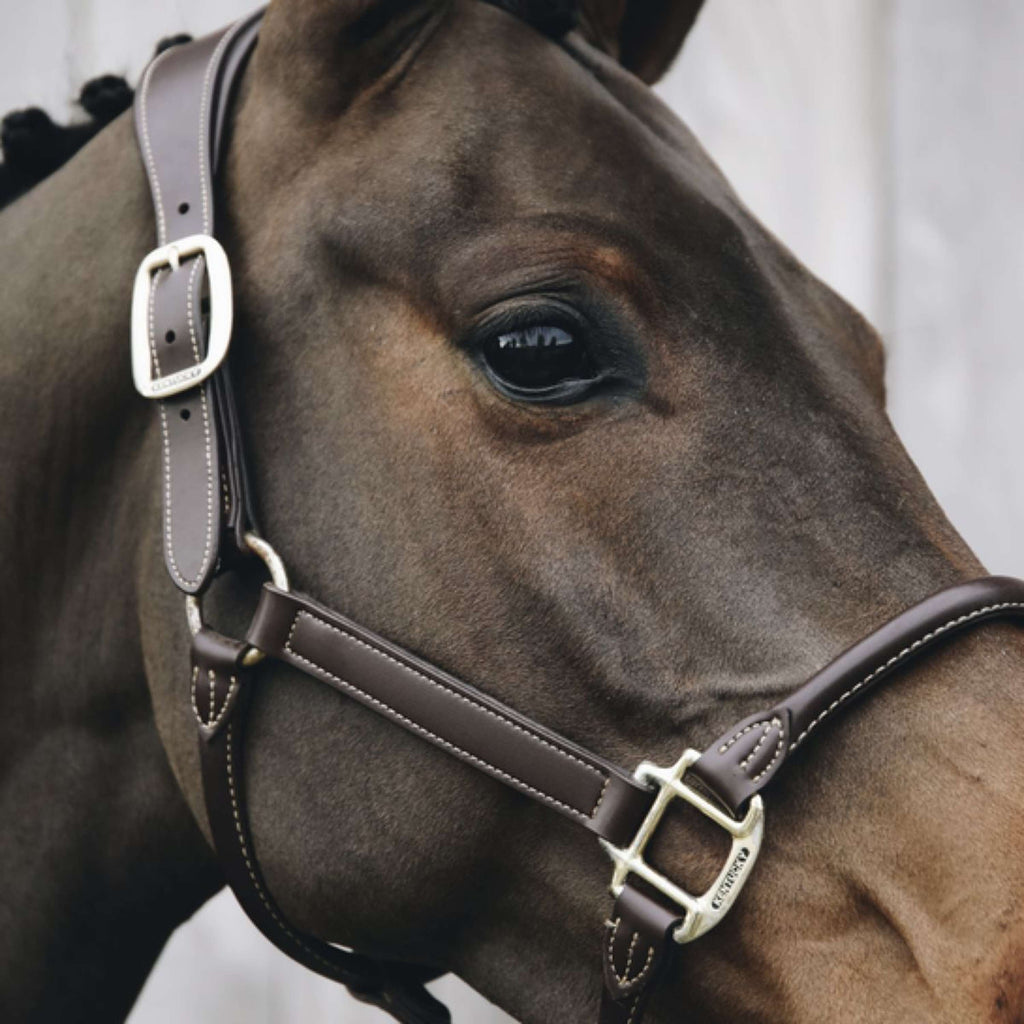 Kentucky Licou Cuir Anatomique Marron