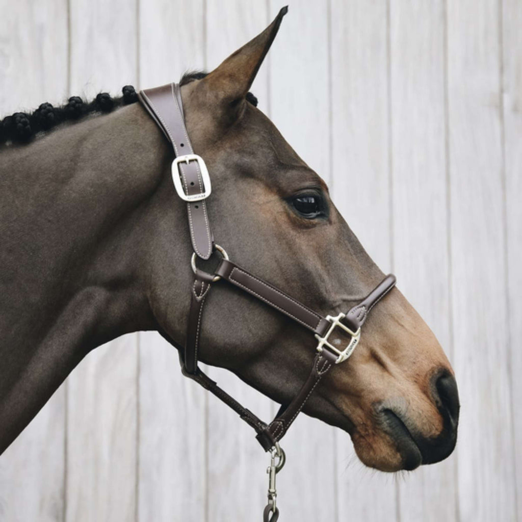 Kentucky Licou Cuir Anatomique Marron