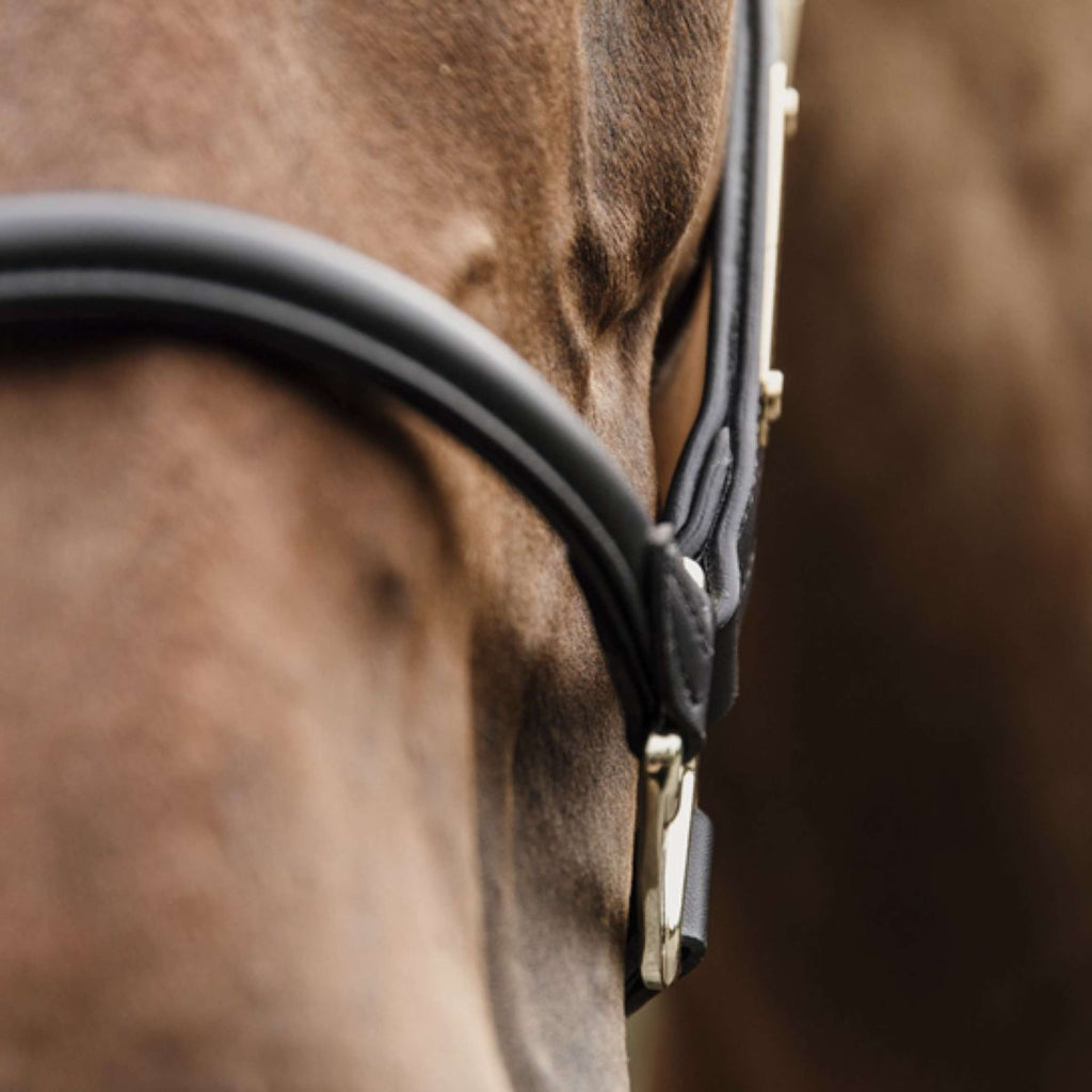 Kentucky Licou Cuir Anatomique Noir