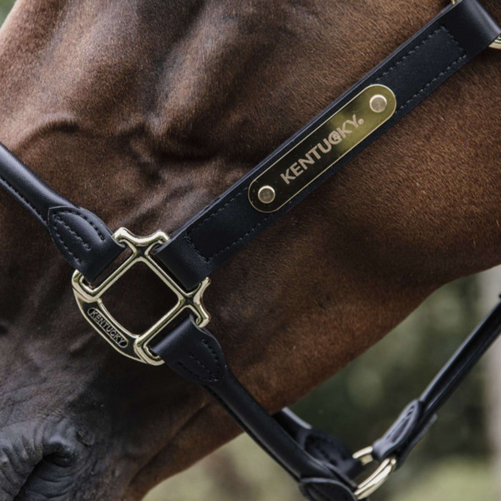 Kentucky Licou Cuir Anatomique Noir