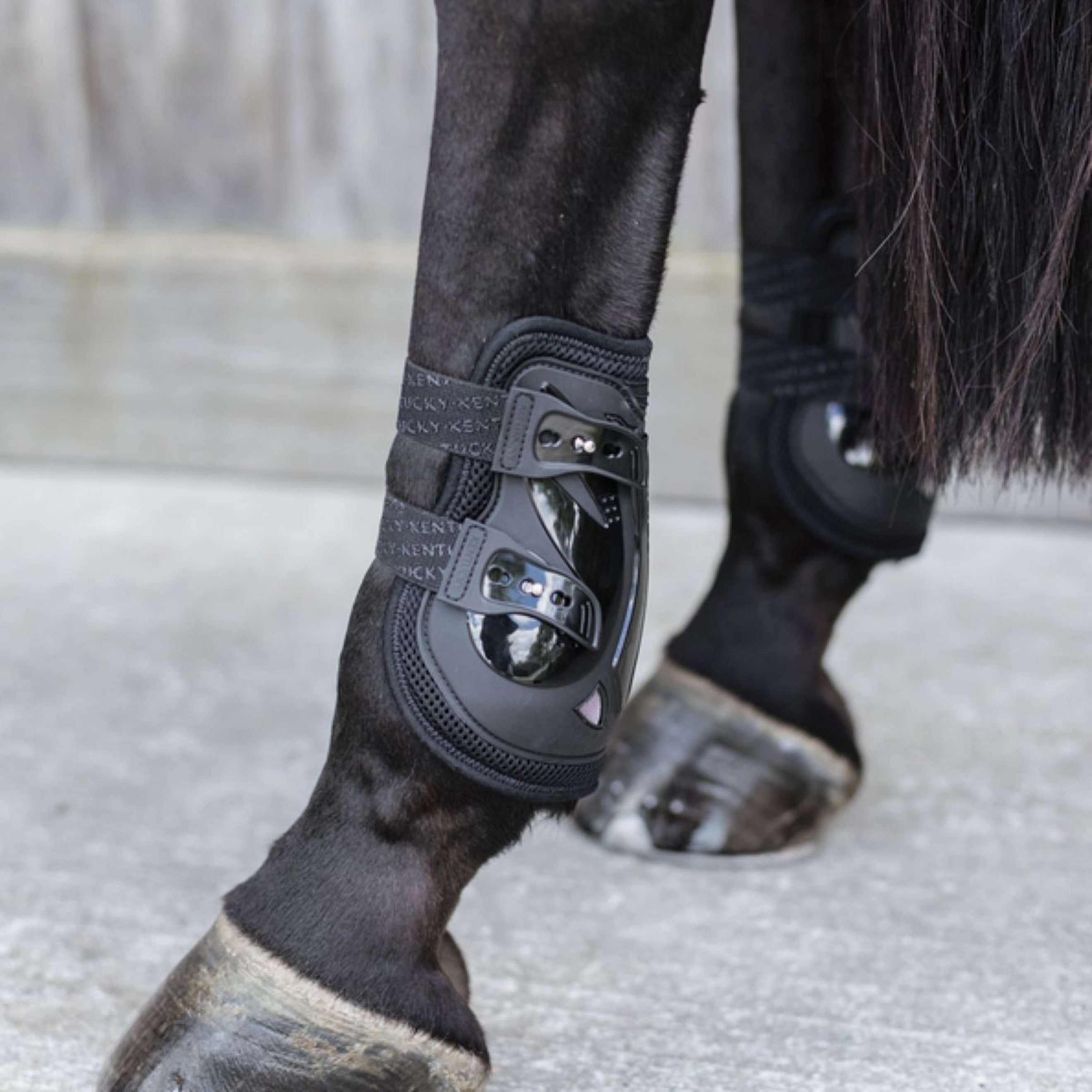 Kentucky Horsewear Protège-Boulets Moonboots Air X Noir