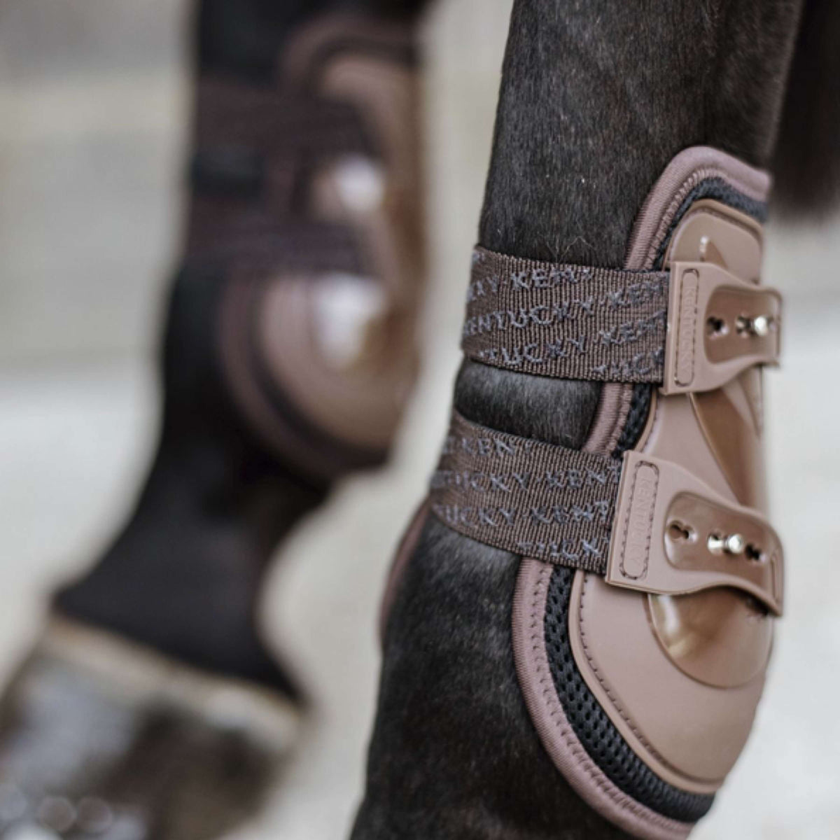 Kentucky Horsewear Protège-Boulets Moonboots X Air Marron