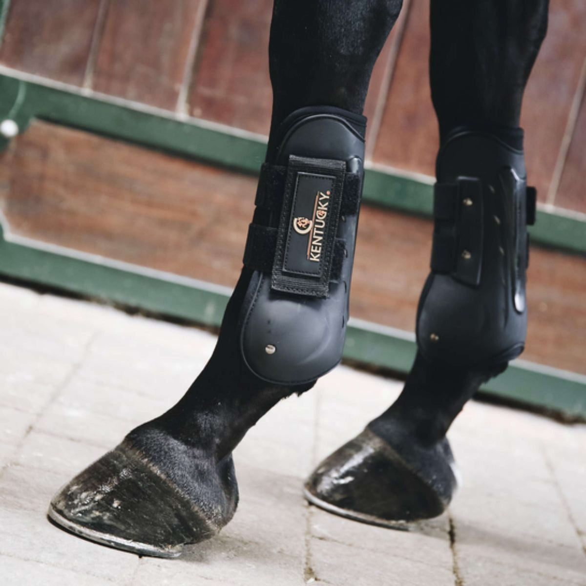 Kentucky Horsewear Protèges-Tendons Air Noir