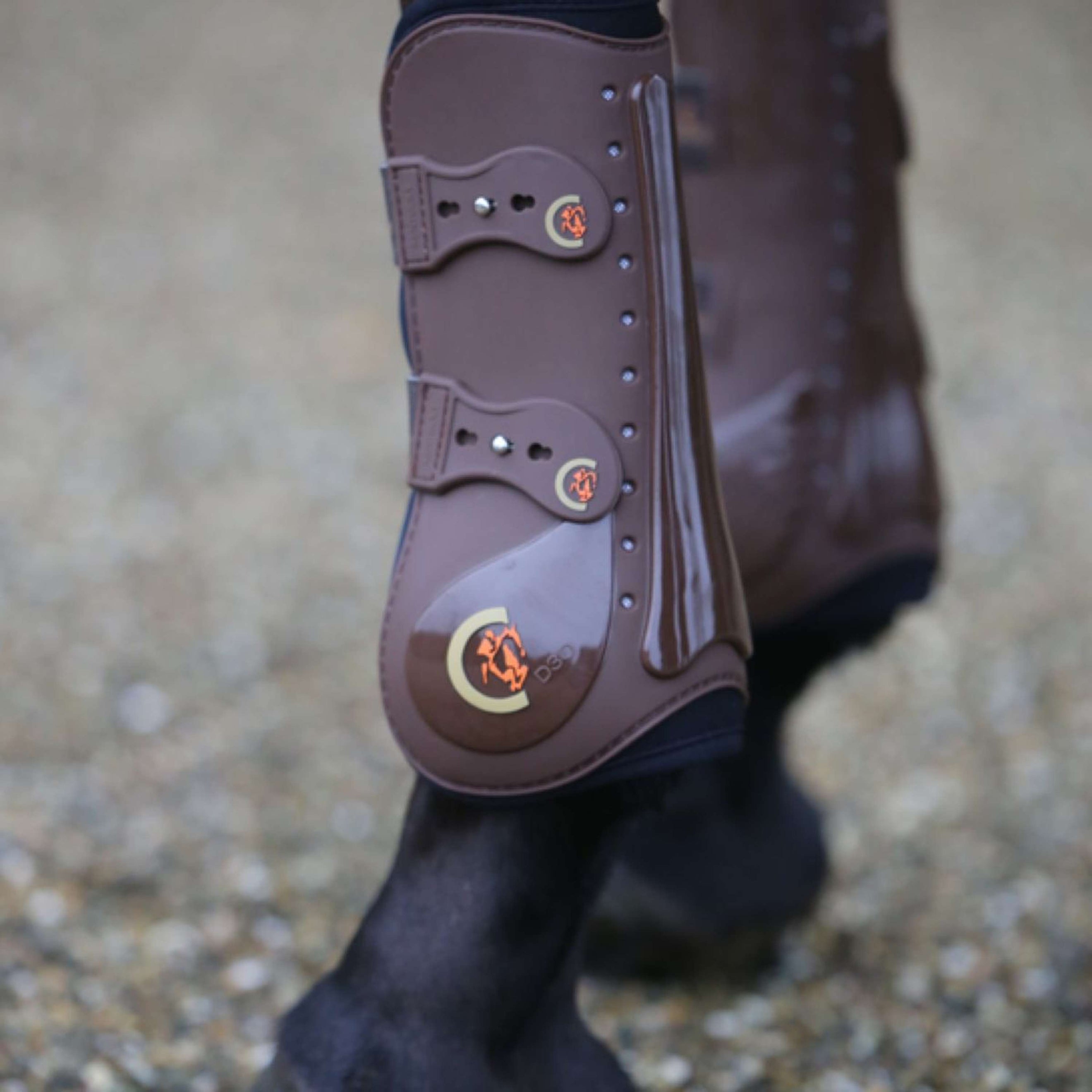 Kentucky Horsewear Protèges-Tendons Elastic Marron