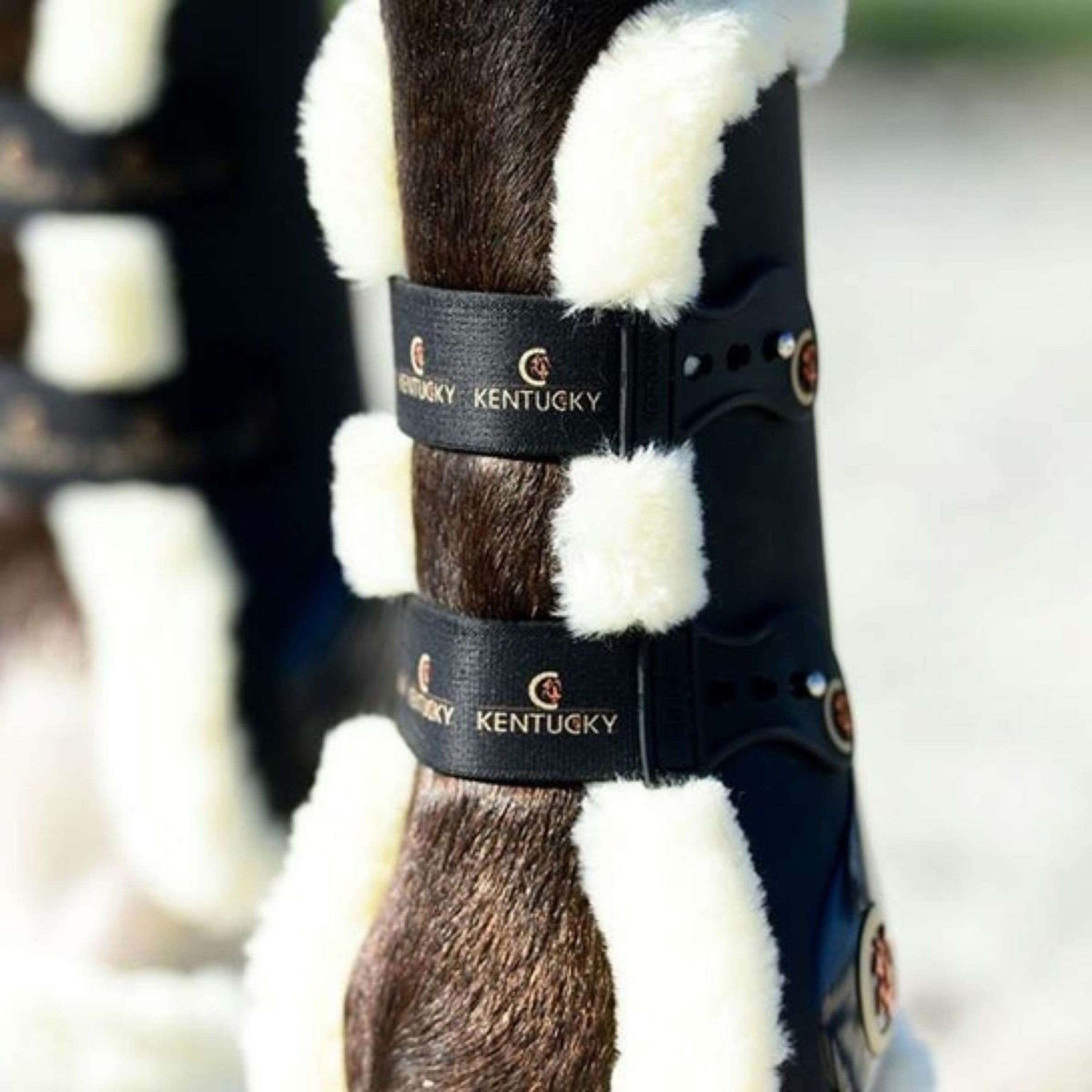 Kentucky Horsewear Protèges-Tendons Noir