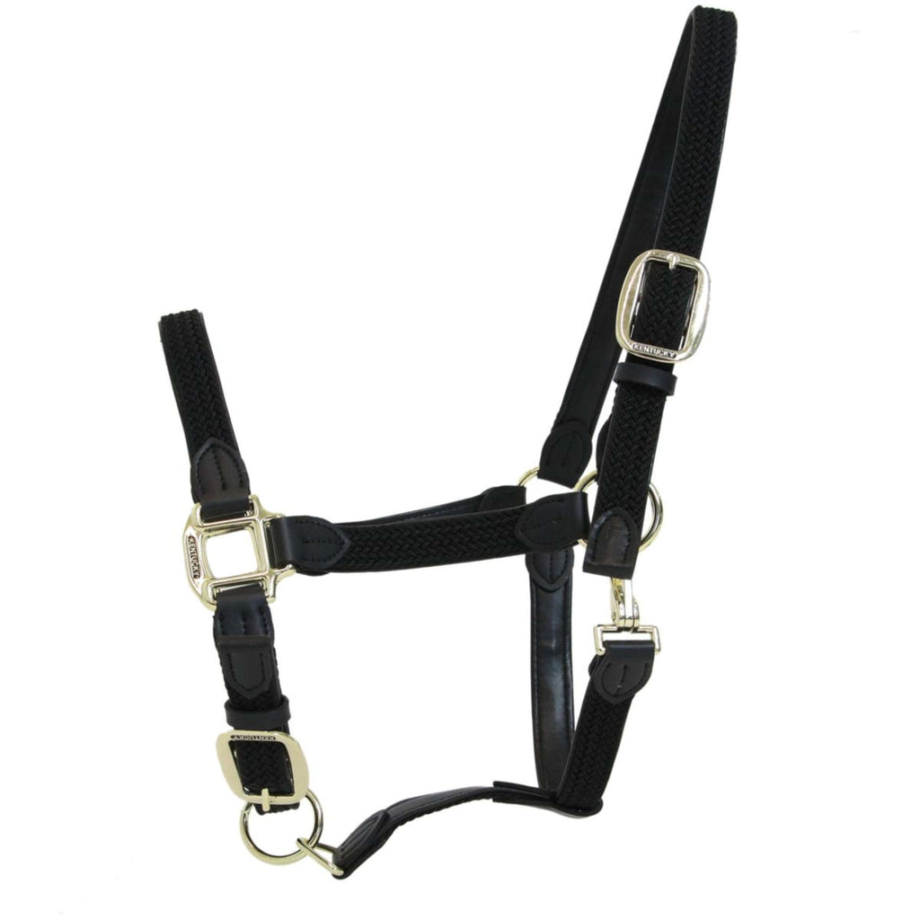 Kentucky Licol Nylon Tressé Noir