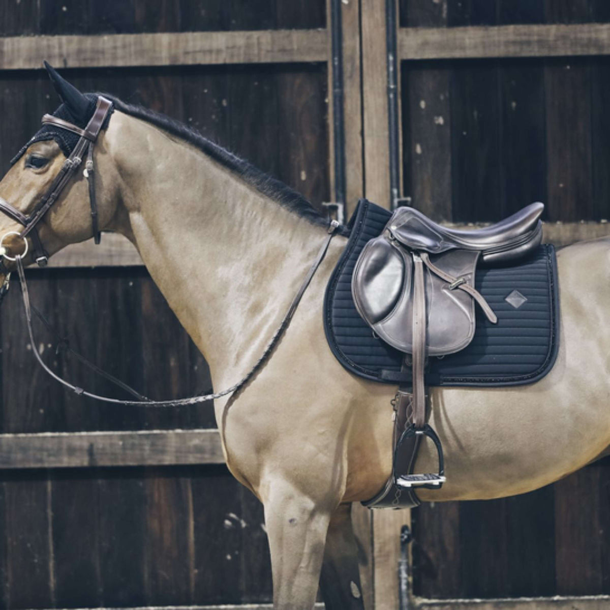 Kentucky Tapis de Selle De Saut Pearls Noir