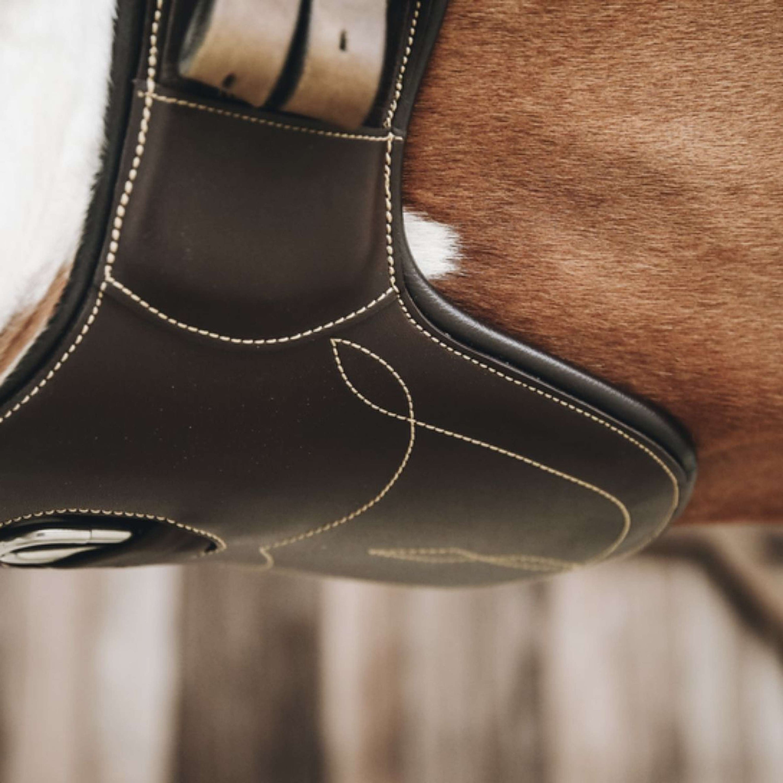 Kentucky Sangle d'Obstacle Short Stud Marron Kentucky Sangle d'Obstacle Short Stud Marron