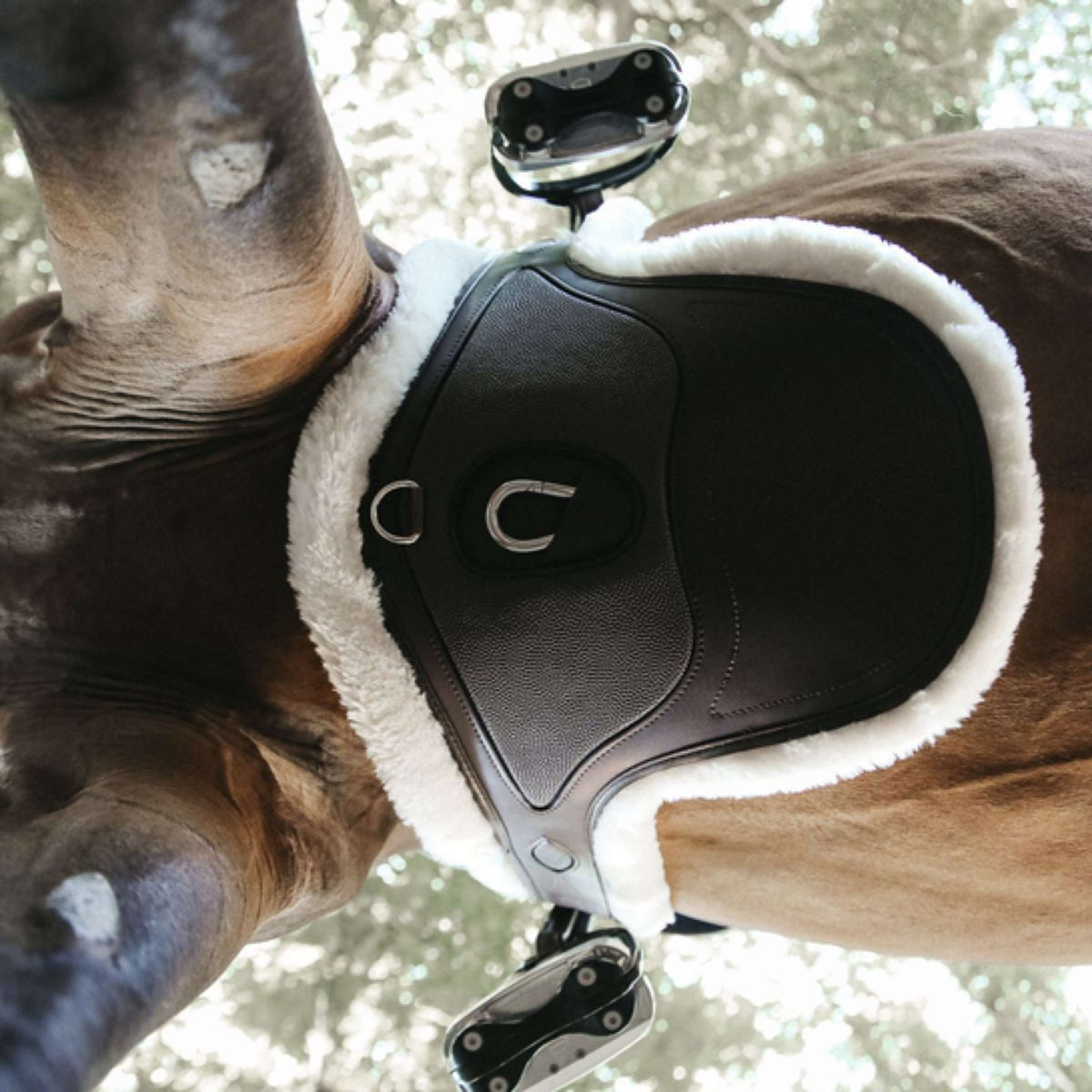 Kentucky Sangle Bavette Sheepskin Special pour le Saut Marron