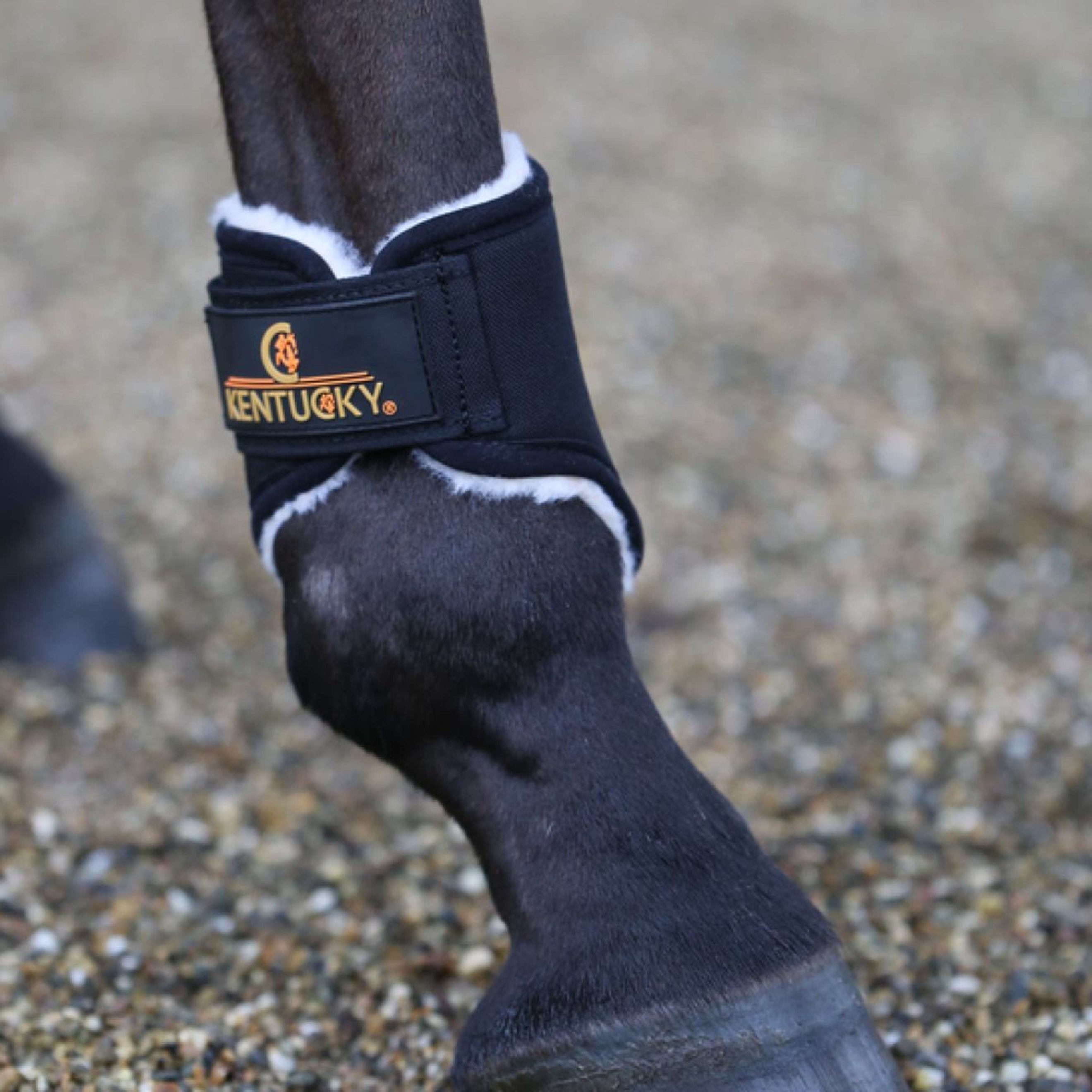 Kentucky Horsewear Protège-Boulets Solimbra Noir