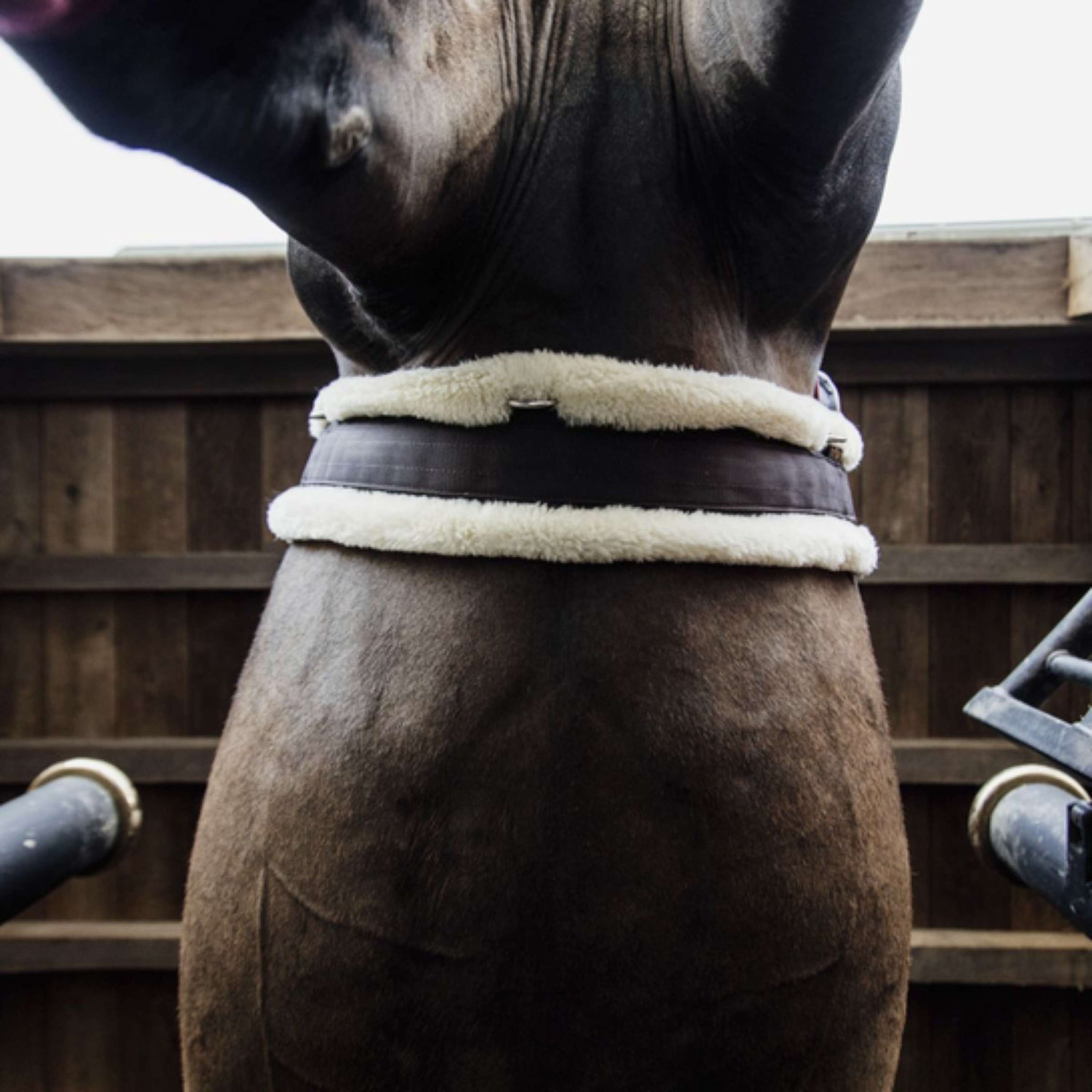 Kentucky Sangle Polyvalente Sheepskin Marron/Naturel Kentucky Sangle Polyvalente Sheepskin Marron/Naturel