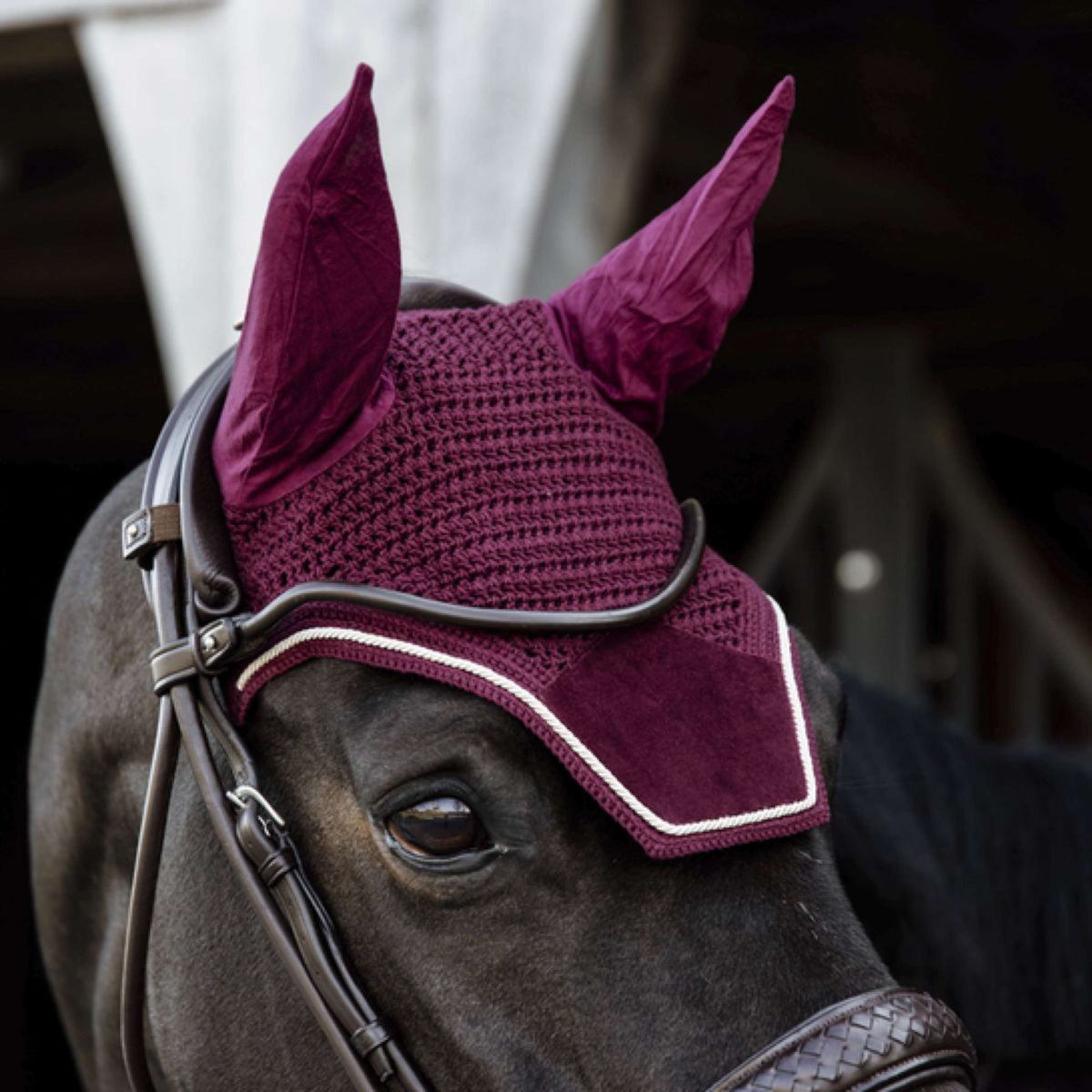 Kentucky Bonnet Anti-Mouches Wellington Velours Bordeaux