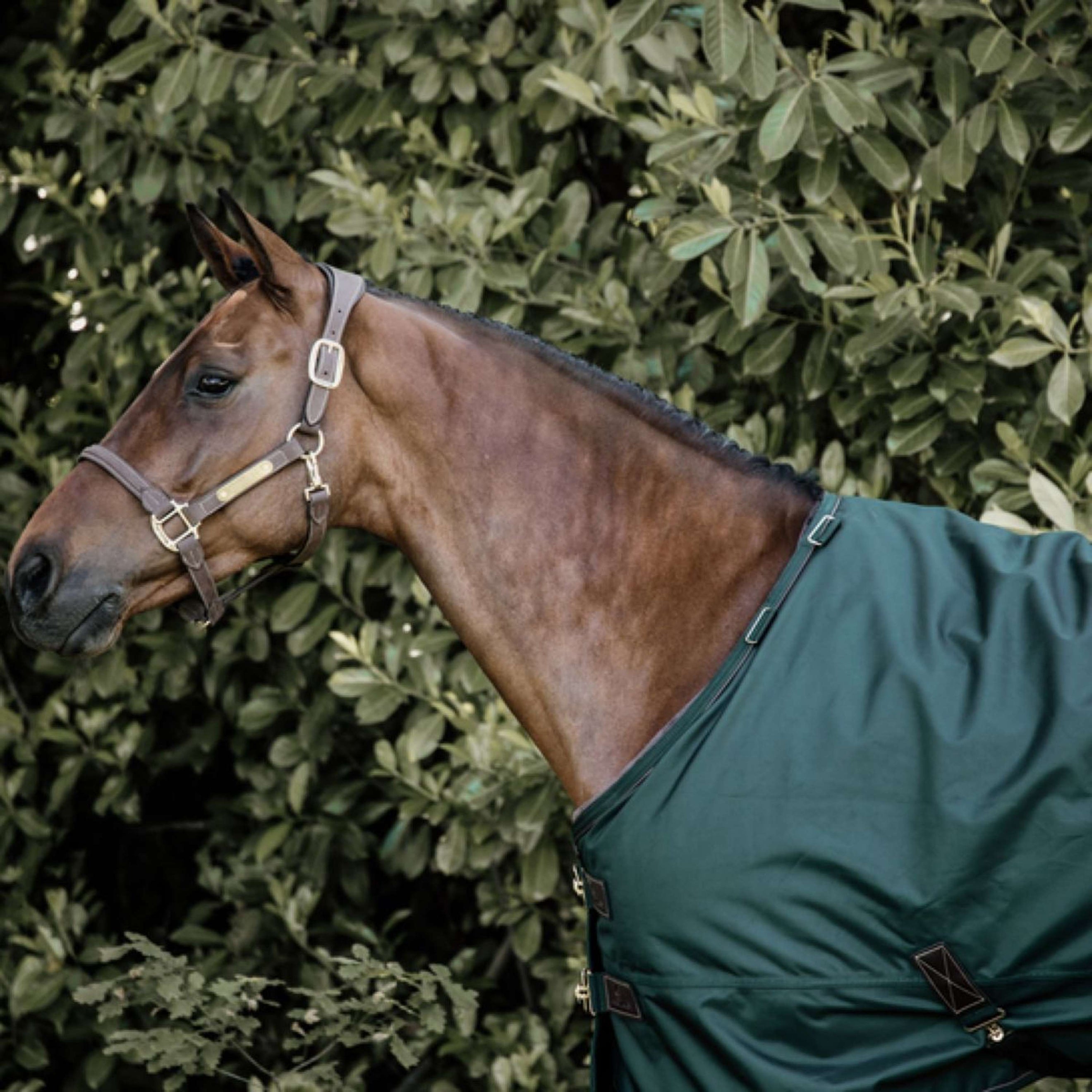 Kentucky Couverture Turnout All Weather 160g Vert Foncé Kentucky Couverture Turnout All Weather 160g Vert Foncé