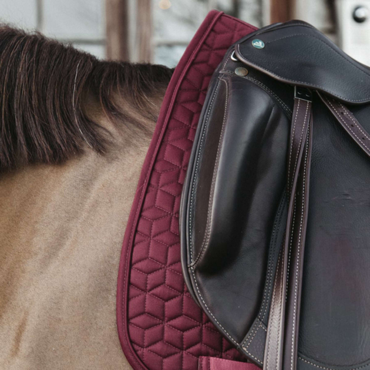 Kentucky Tapis de Selle Basic Dressage Bordeaux