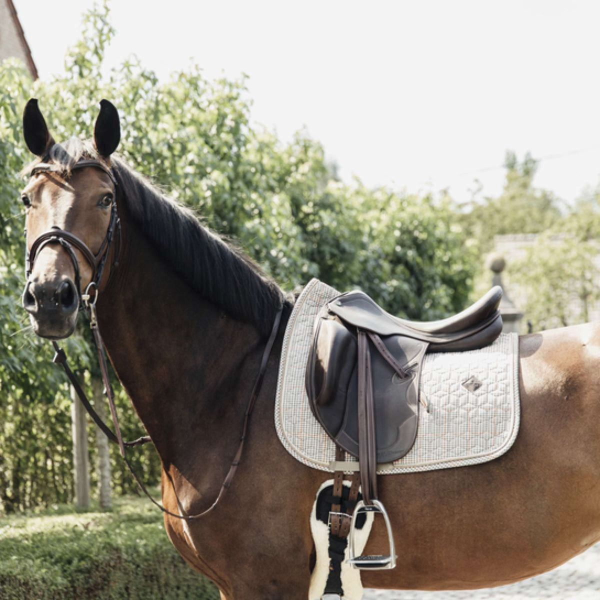 Kentucky Tapis de Selle Pied-de-Poule Dressage Beige