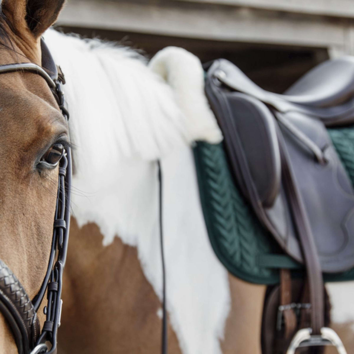 Kentucky Tapis de Selle Skin Friendly velours Dressage Pine Green