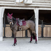 Kentucky Tapis de Selle Velvet Dressage Bordeaux