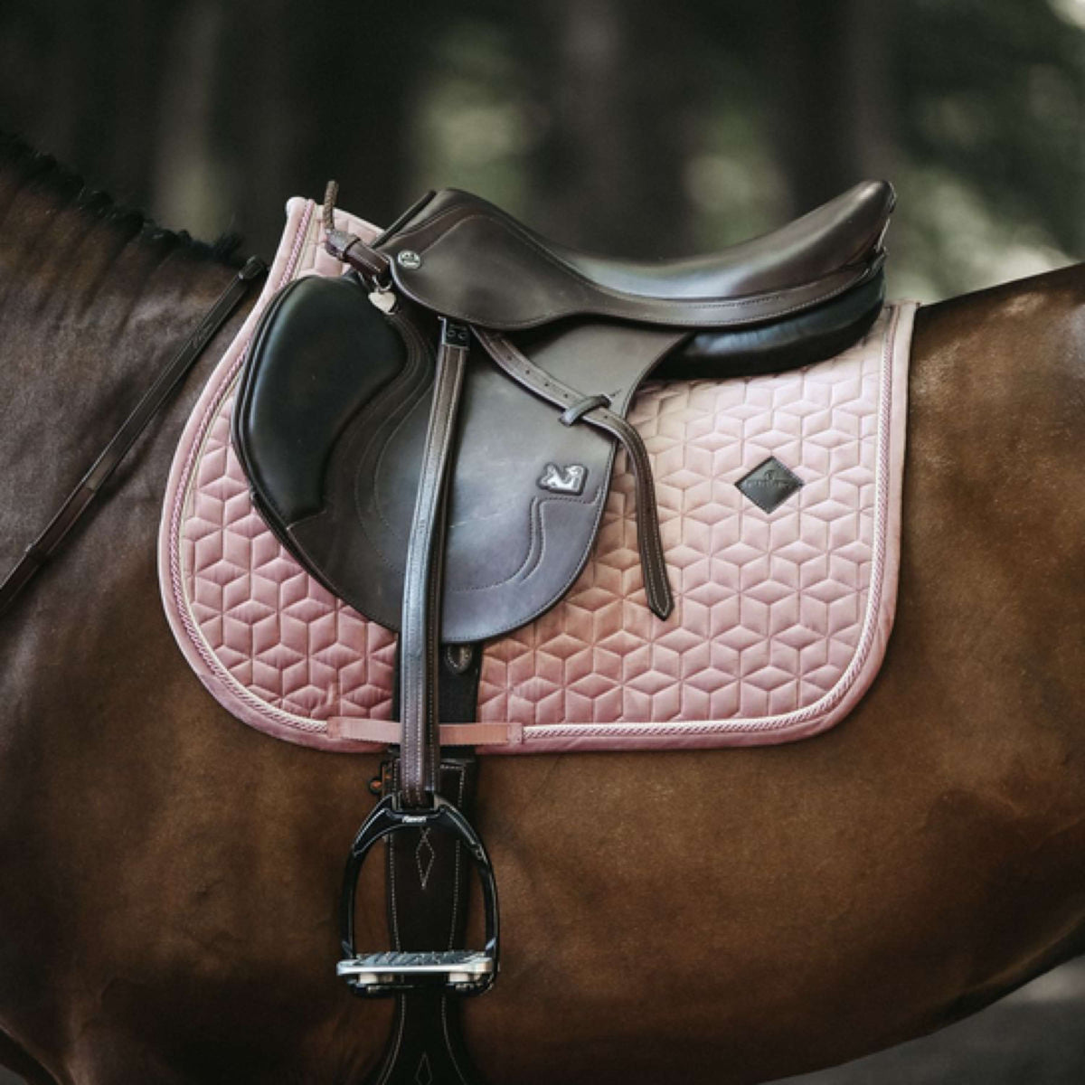 Tapis de selle velours pearls rose tendre | Rose pâle | FULL | 42590-50-SJ | Kentucky Tapis de selle velours pearls rose tendre | Rose pâle | FULL | 42590-50-SJ | Kentucky