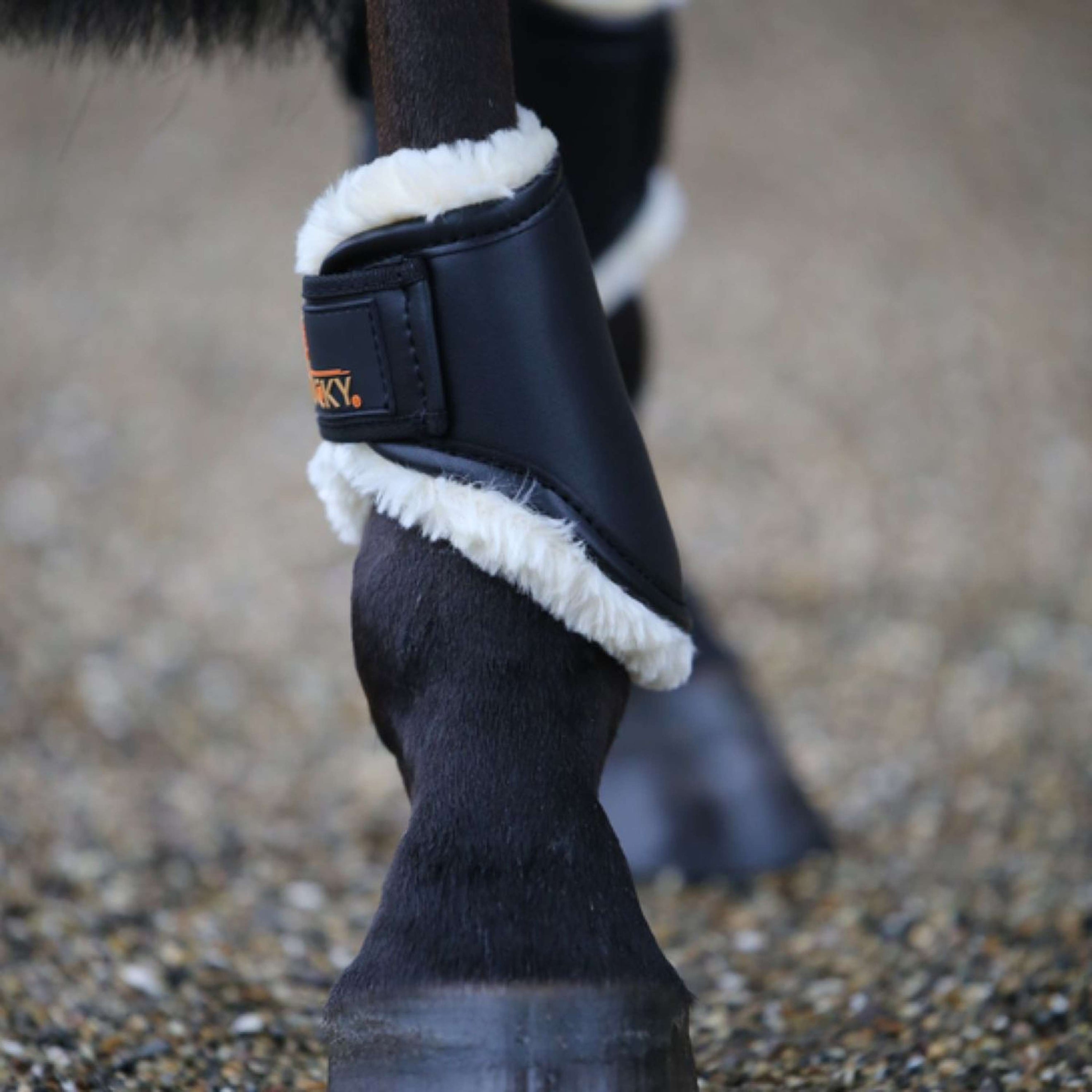 Kentucky Horsewear Protège-Boulets Short Noir