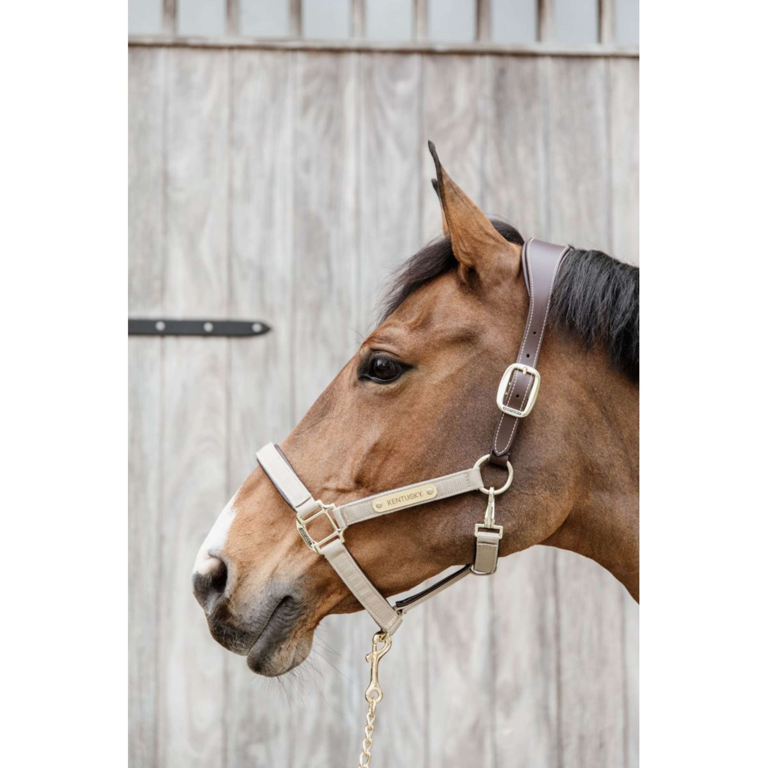 Kentucky Licol Anatomic Nylon Beige Kentucky Licol Anatomic Nylon Beige