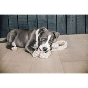 Kentucky Jouets pour Chien Cotton Rope 8 Loop