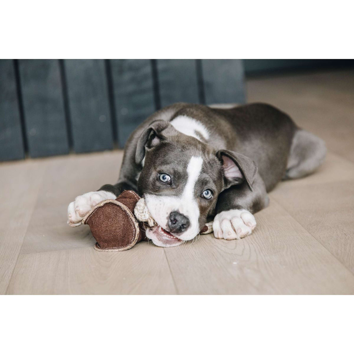 Kentucky Jouets pour Chien Cotton Rope Baseball