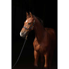 Covalliero Licol pour Poulain TopLine Noir